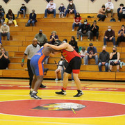 IMG-0442