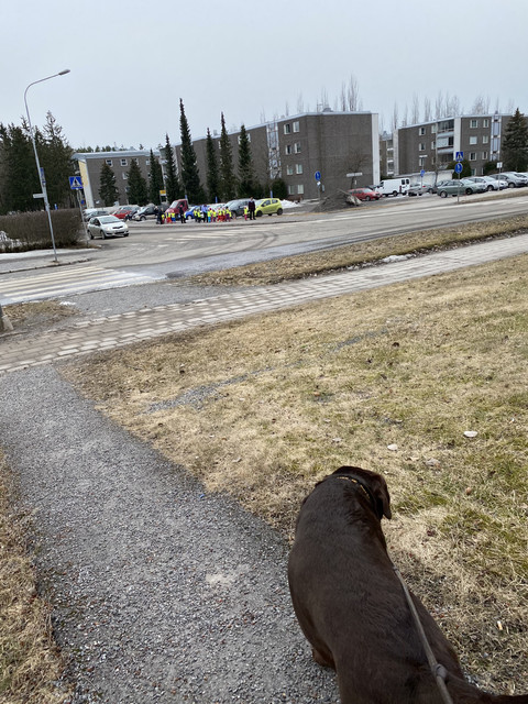 ED29-ECDF-5392-4-BBA-8527-0-B64685960-F0