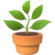 potted-plant-1fab4