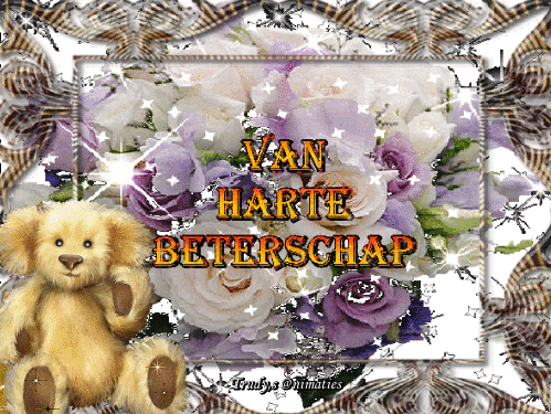 14.gif