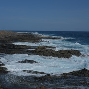 DSCF8182