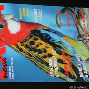 IMG-7797