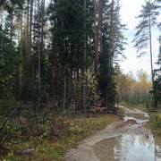 IMG-4394