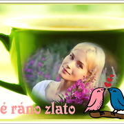 KR-SN-R-NO-ZLATO