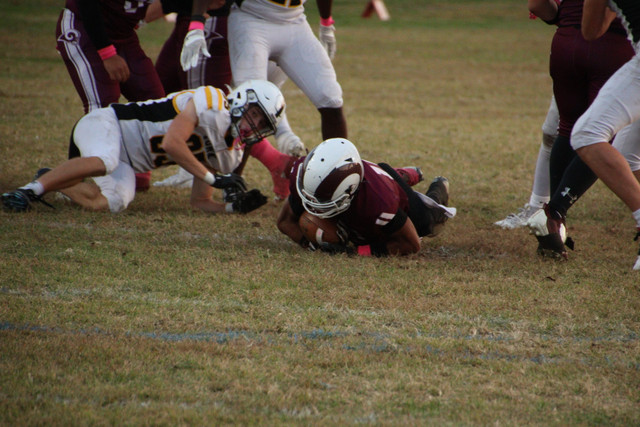 IMG-2164.jpg