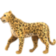 leopard-1f406