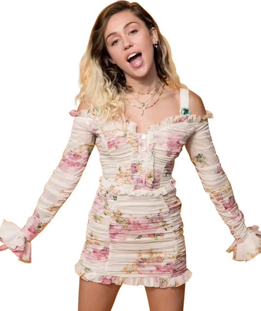SAM-4