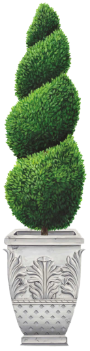 mD95PLM.png