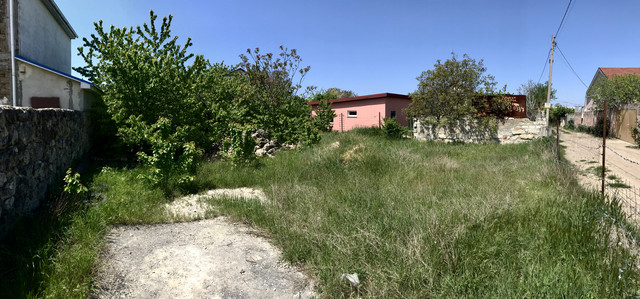 IMG-3532
