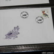 IMG-2632