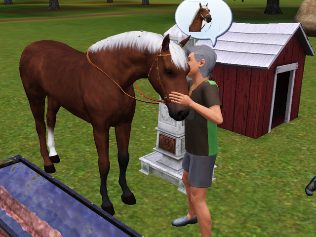 Screenshot-227