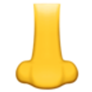 nose-1f443