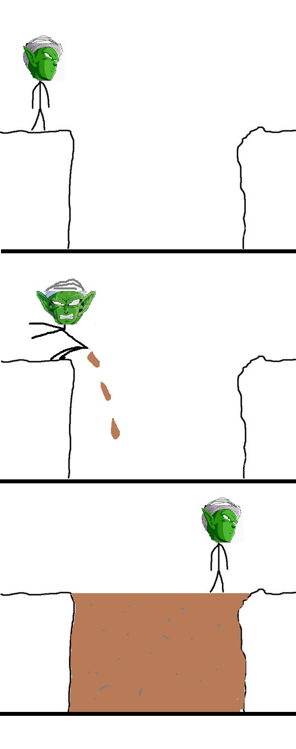 shice-Piccolo.jpg