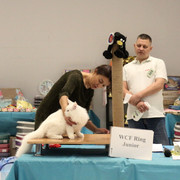 IMG-6774