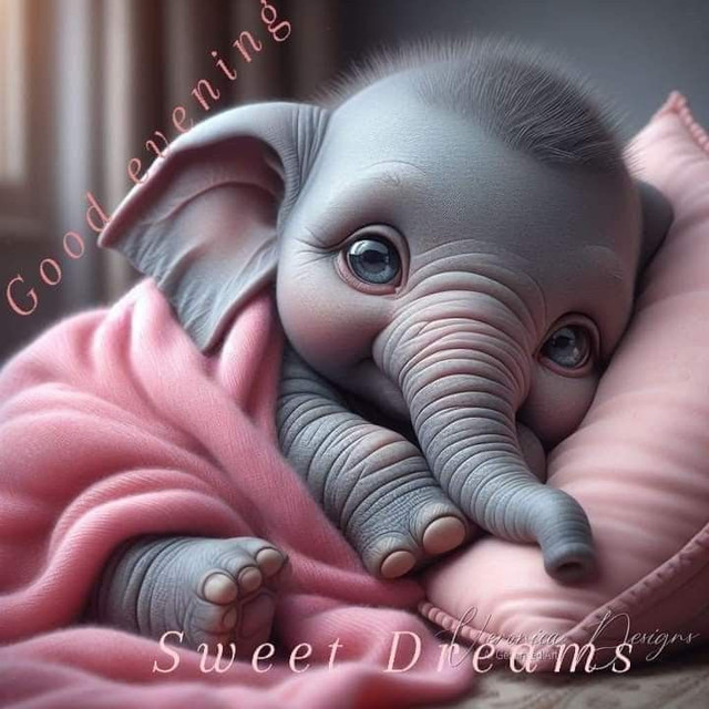 8922aa8d22972bcdeaa24ef86f99f2eb