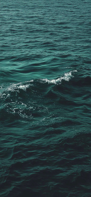 sea1.jpg