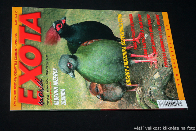 IMG-7807.jpg