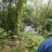 OLYMPUS-DIGITAL-CAMERA