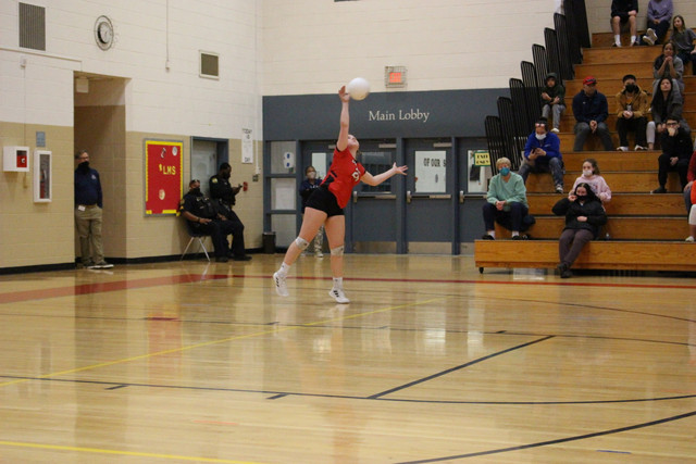 IMG-0239