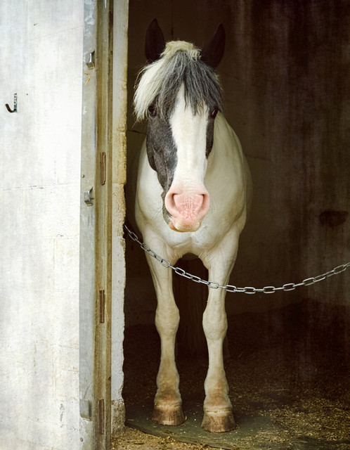 DSCF3780.jpg