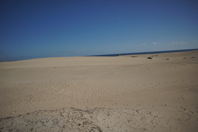 DSC01211