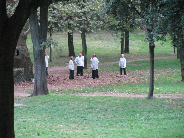 IMG-8799.jpg