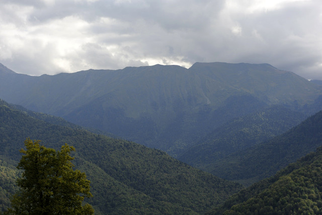 DSC7173.jpg