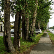 i-1