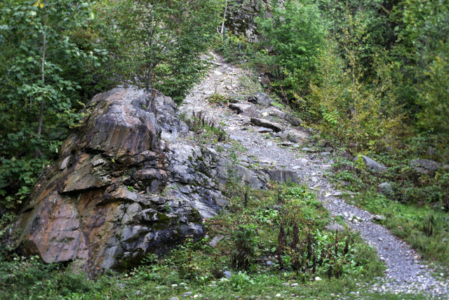 DSC7113.jpg