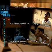 PDVD-008