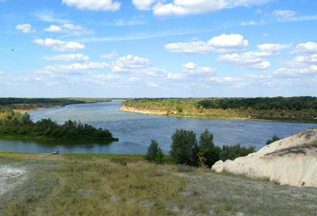 IMG-4203.jpg