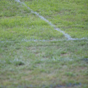 IMG-2471