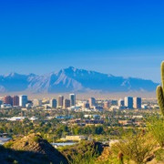 phoenix