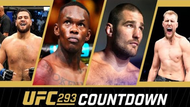 UFC-293-Countdown