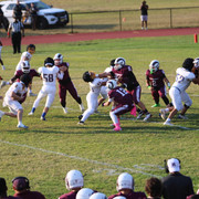 IMG-5216