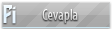 cevaplabyk.png