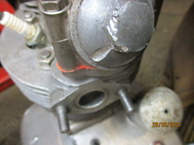 IMG-8460.jpg