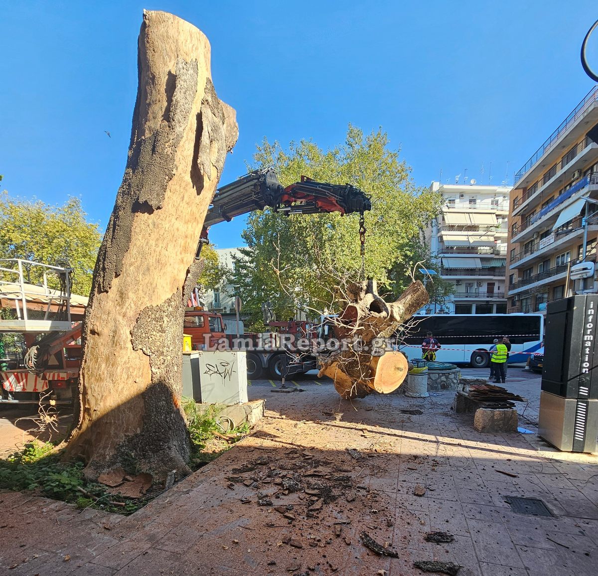Δεντρο πλατεια Λαου031