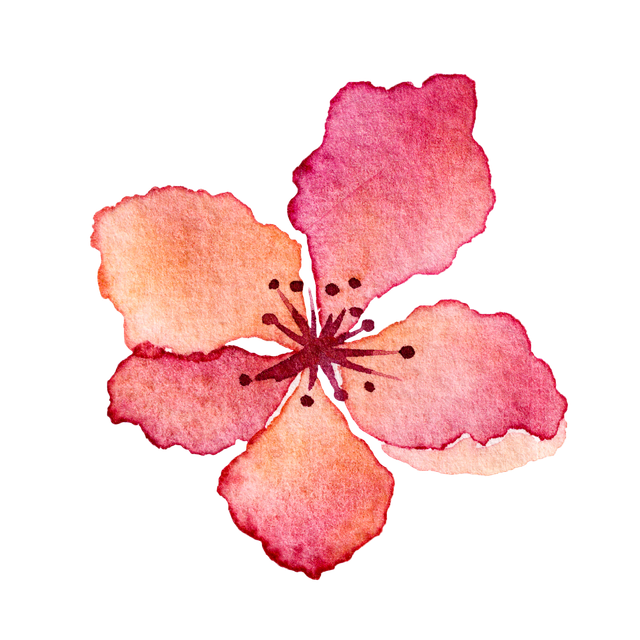 331480004016211.png