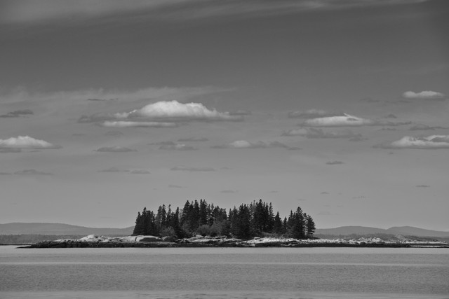 IMGP0981.jpg