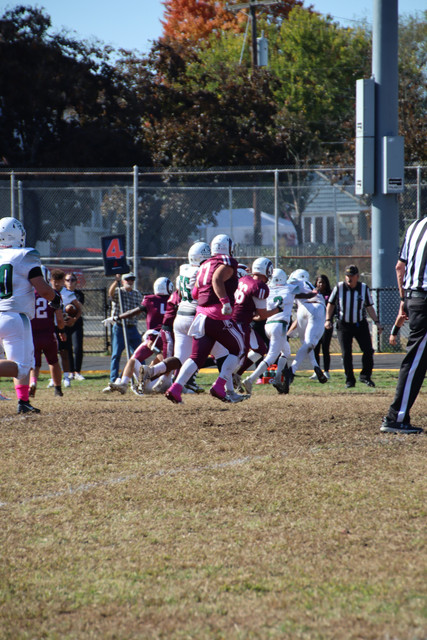 IMG-3556