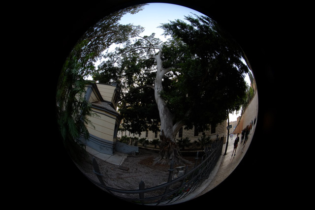 DSCF8974.jpg