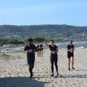 IMG 0347