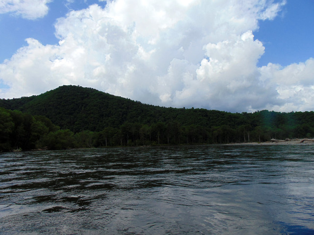 DSC04894.jpg