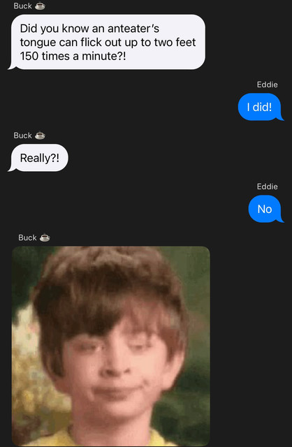 bbbb