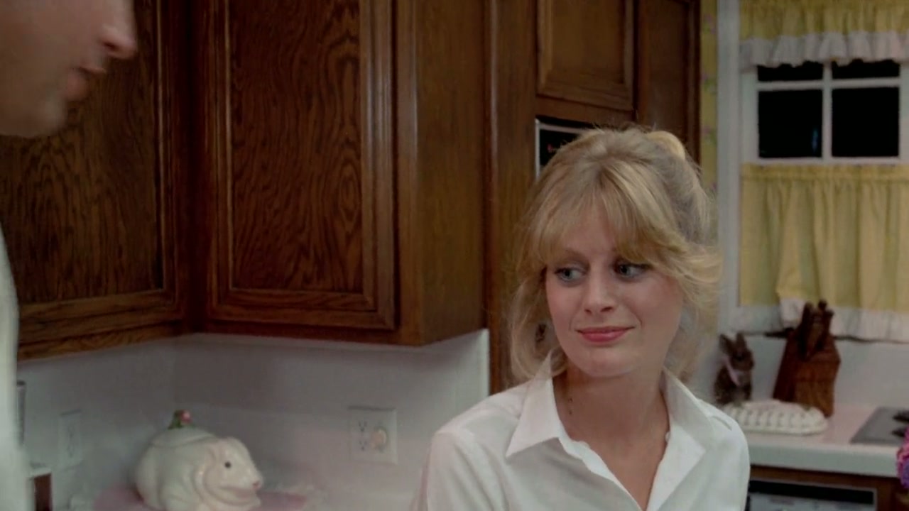 National Lampoon's Vacation Screenshot