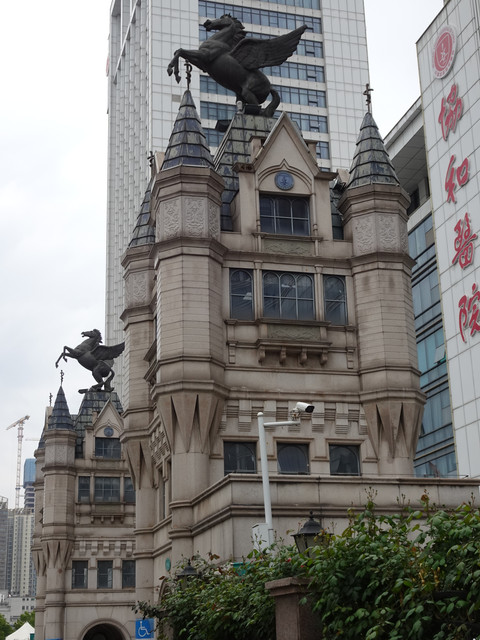 DSC09526.jpg