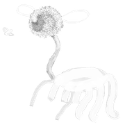 6 CRITTER