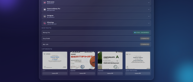 Elvizit interface screenshot 2