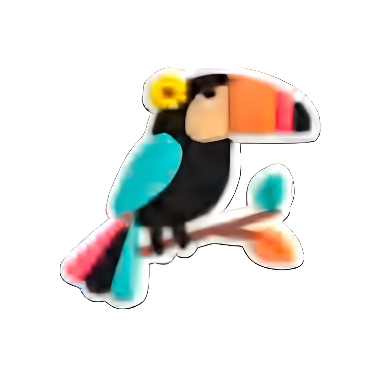 Toucan